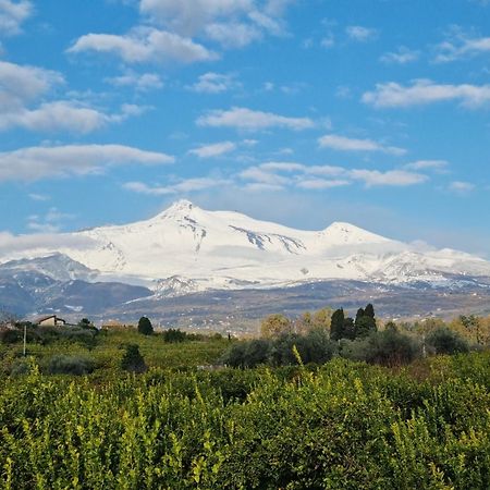 Le Dimore Del Corso II Ad Acireale Fra Catania, Taormina, Il Mare E L'Etna Buitenkant foto