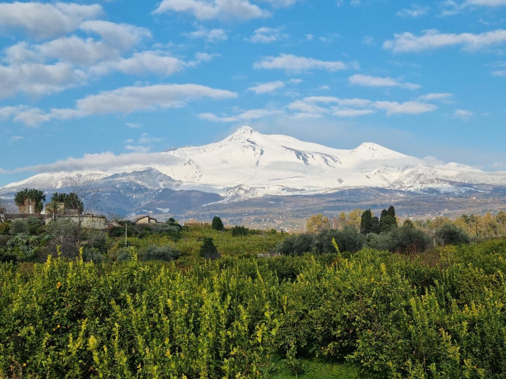 Le Dimore Del Corso II Ad Acireale Fra Catania, Taormina, Il Mare E L'Etna Buitenkant foto